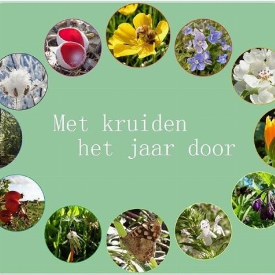 Helende Planten