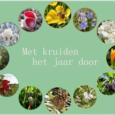 Helende Planten